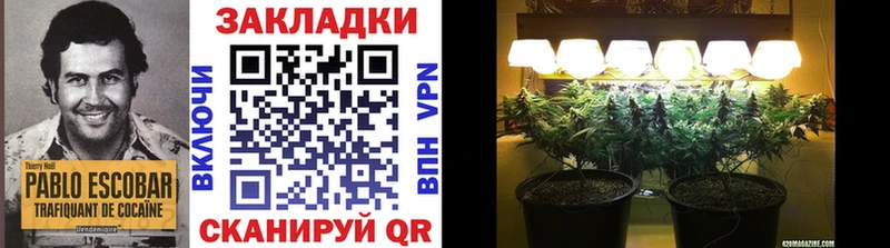 Какие есть наркотики Чишмы Гашиш  Кокаин  Меф  Конопля 