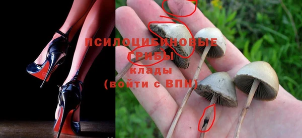 прущий лед Гусиноозёрск
