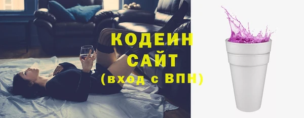 гидра Гусь-Хрустальный