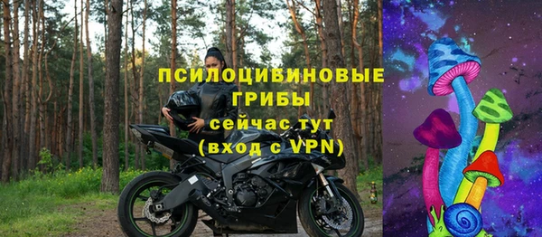 Альфа ПВП Горно-Алтайск