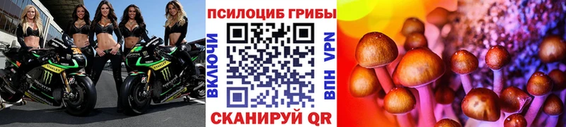 Галлюциногенные грибы прущие грибы  хочу наркоту  Чишмы 